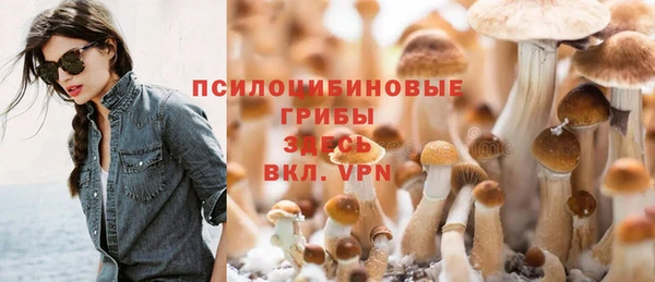 ALPHA PVP Медвежьегорск
